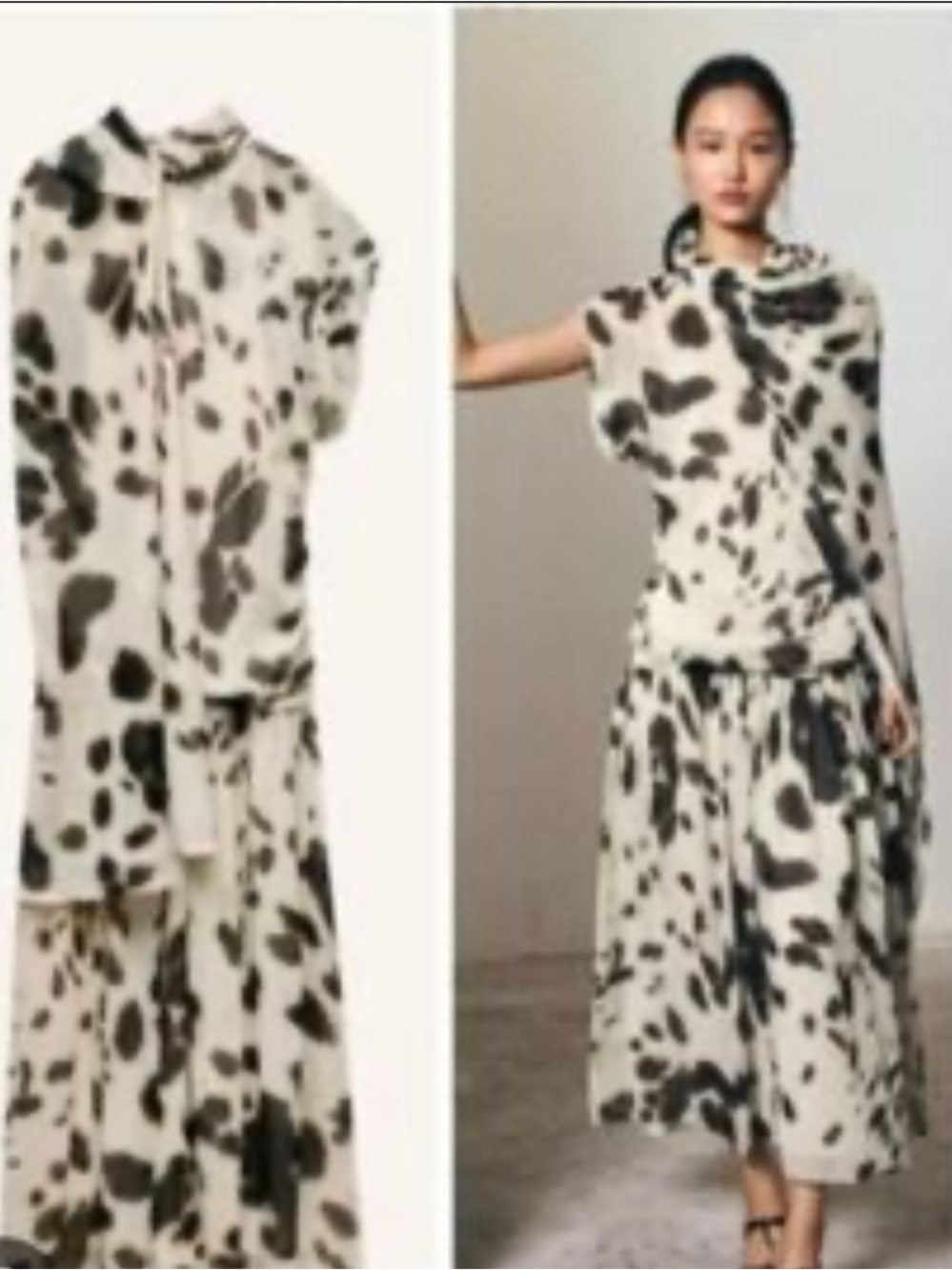 Zara Brown and White Spot Print Sheer Maxi Dress - Picture 2 of 4